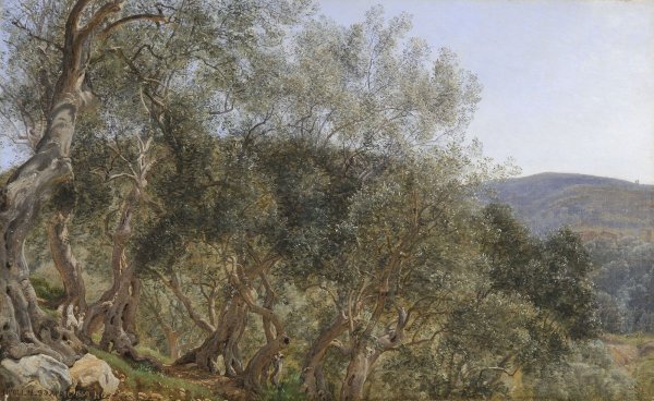 Картина Уильям Чейз. Оливковая роща