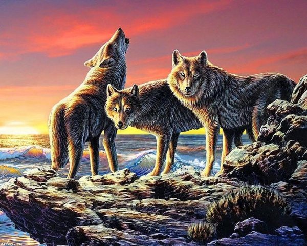Волк живопись