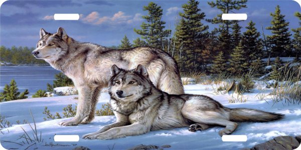 Американская художница Crista Forest картины