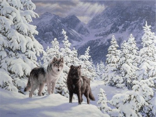 Волк живопись