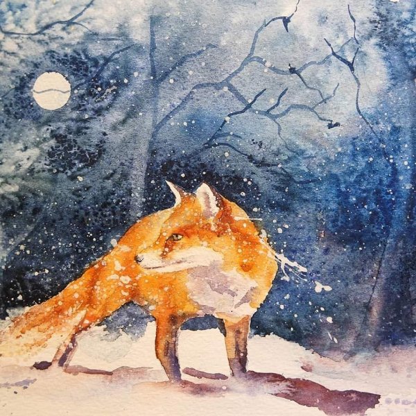 Бонни Маррис лисы