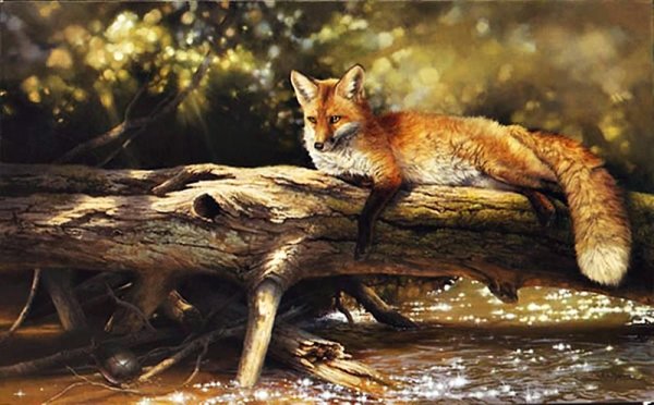 Лиса гуашью