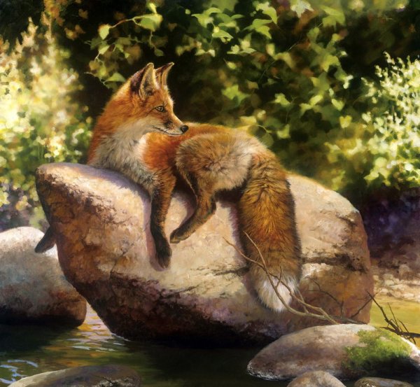 Bonnie Marris художник-анималист из Америки