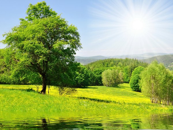 Природа в картинках