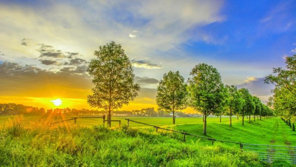 Рассвет летом