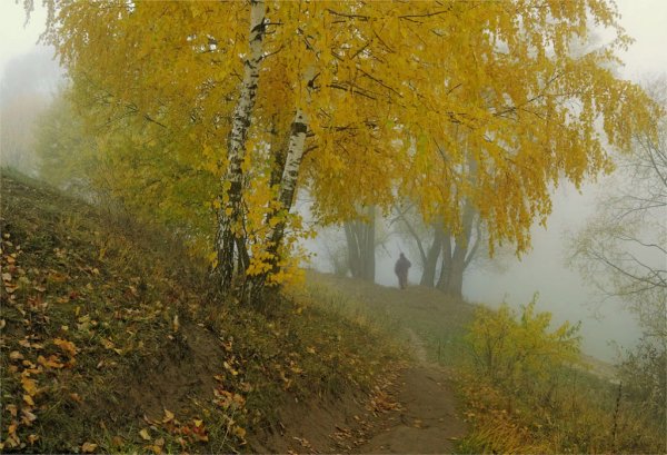 Осенний ветер