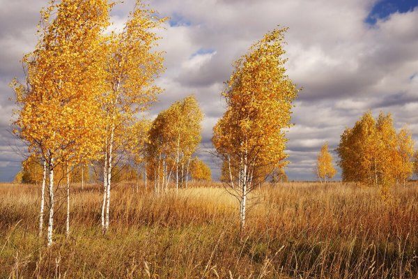 Художник пейзажист Федосов