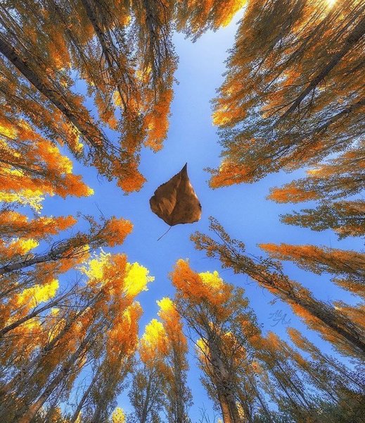 Пейзаж с ветром