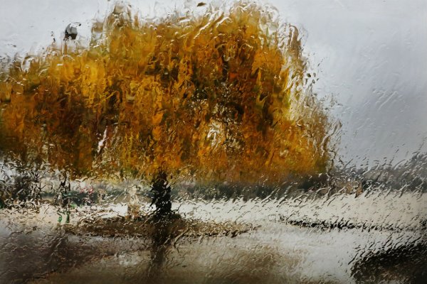 Картина непогода