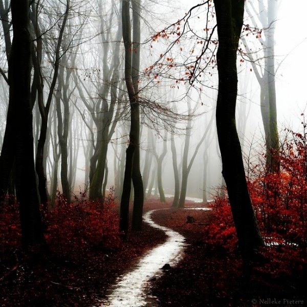 Мрачный осенний пейзаж