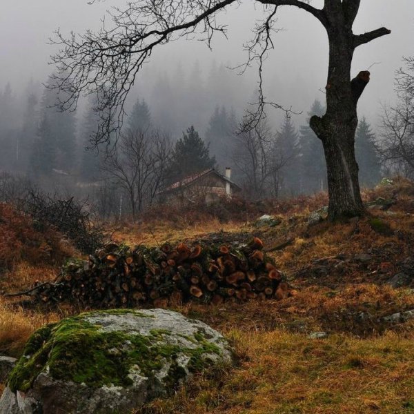 Хмурая осень