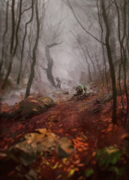 Мрачный осенний лес