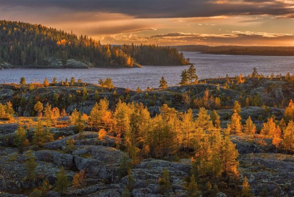 Ладожские шхеры осень