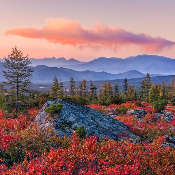 Природа севера