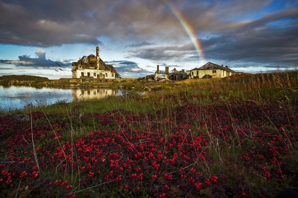 Дальние Зеленцы природа