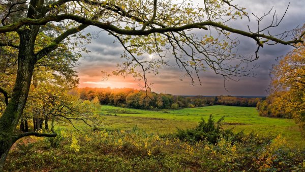 Осенний пейзаж