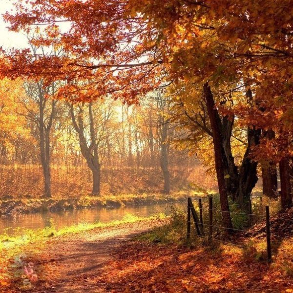 Очаровательная осень