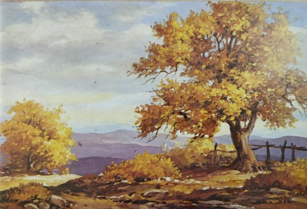 Одинокая береза