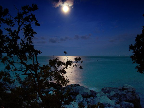 Берег ночью