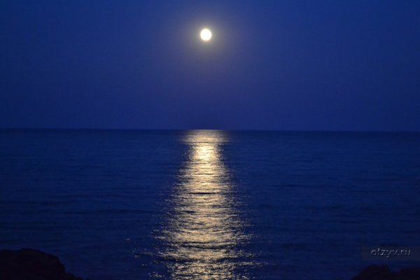 Лунная ночь