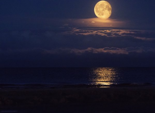 Ночь в море