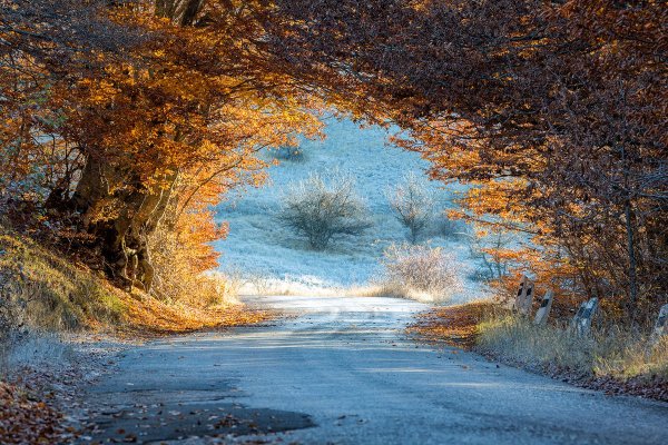 Природа Крым осень