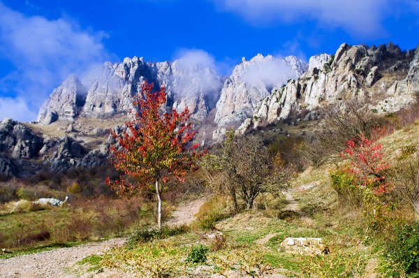 Демерджи весной