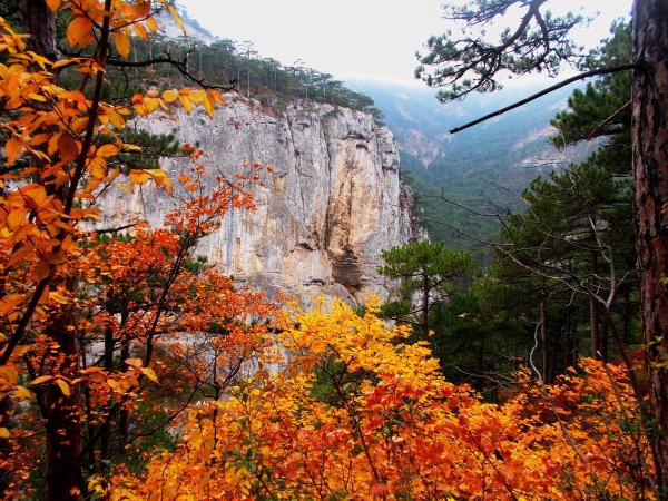 Ялта осенью горы