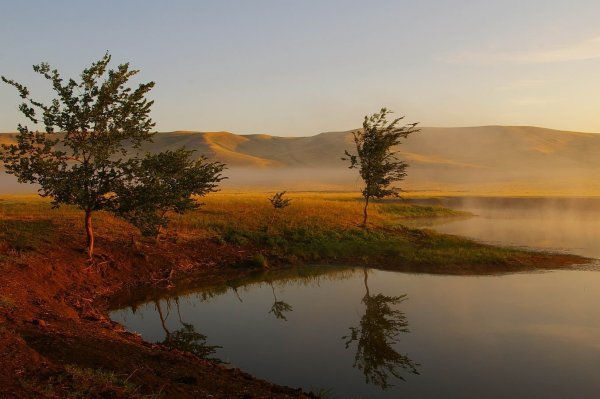 Оренбургский заповедник реки