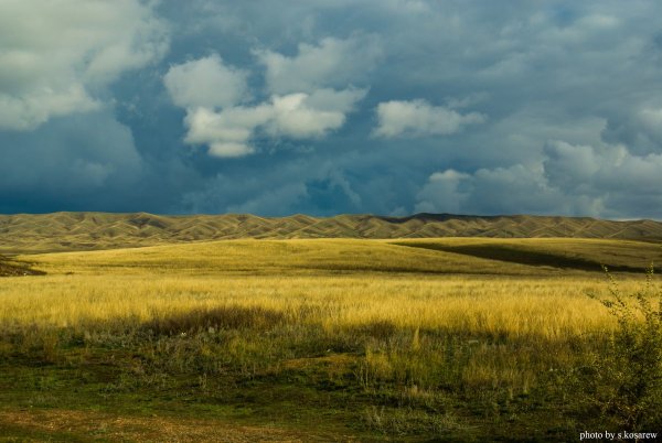 Степь Оренбургская Кувандык