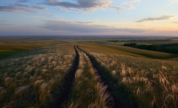 Родные просторы природа Оренбургского края