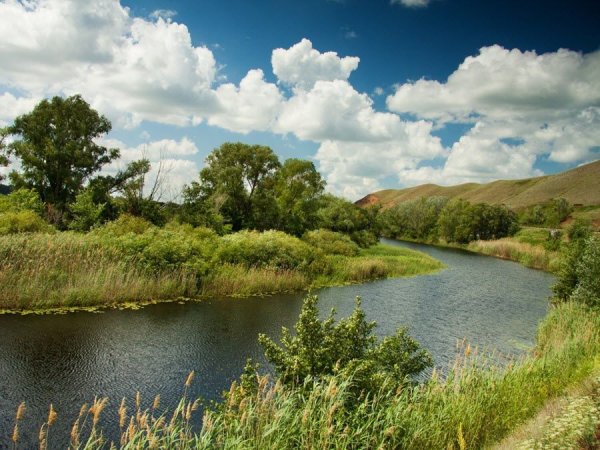 Река малый Уран Оренбургская область