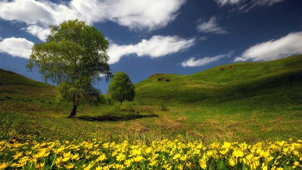 Природа Весна Кувандык