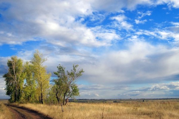 Зауралье Оренбург природа