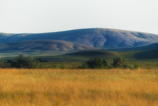 Степная зона Южного Урала