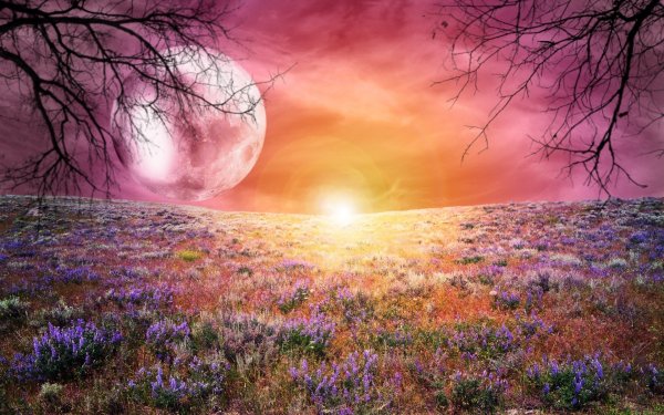 Фантастические пейзажи