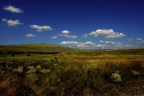 Равнины Ставропольского края