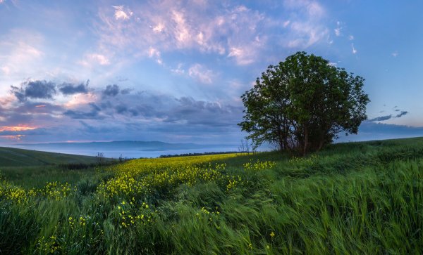 Пейзажи Ставрополья
