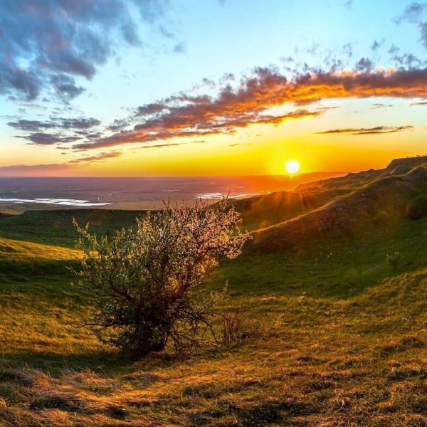 Стрижамент Ставропольский край