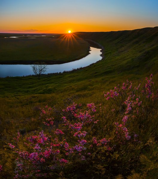 Федор Лашков