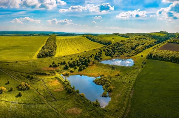 Поля Ставропольского края