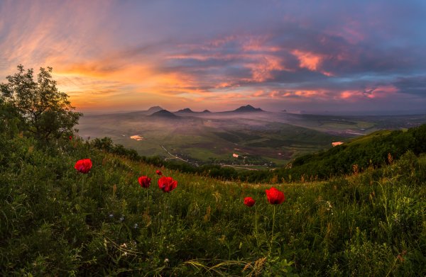 Федор Лашков природа Ставропольского края