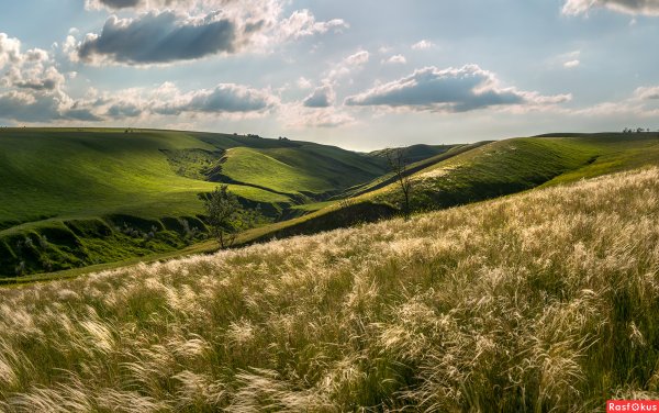 Федор Лашков ковыль степь горы