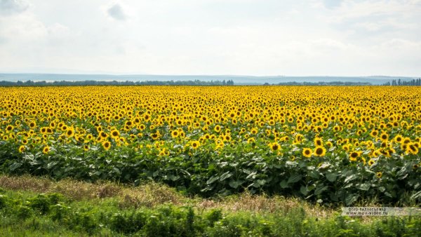 Пейзажи Ставрополья