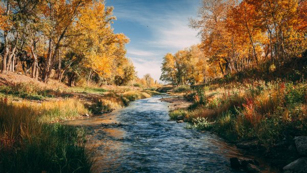 Осень Дон Волгоградская область