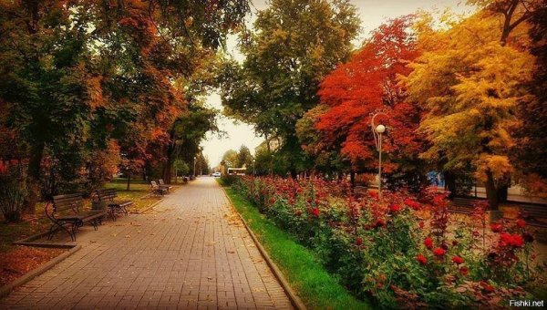 Волгоград осень