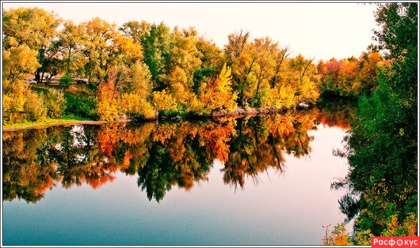 Пейзаж осени Волгоград