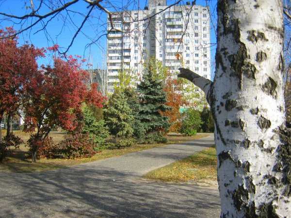 Волгоград в ноябре парк