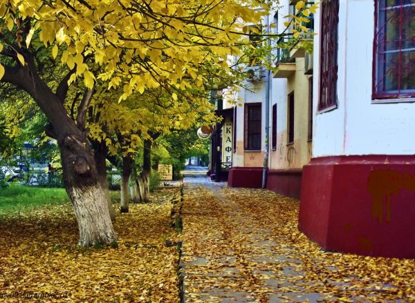 Волгоград осенью