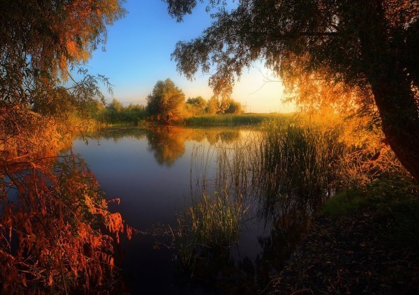 Осень в родном краю